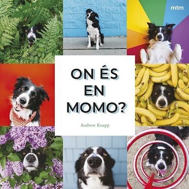 ON ÉS EN MOMO? | 9788410407893 | KNAPP, ANDREW | Llibreria La Gralla | Llibreria online de Granollers