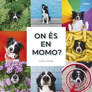 ON ÉS EN MOMO? | 9788410407893 | KNAPP, ANDREW | Llibreria La Gralla | Llibreria online de Granollers