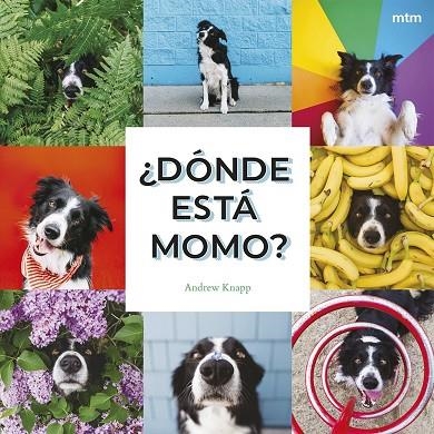 ¿DÓNDE ESTÁ MOMO? | 9788410407909 | KNAPP, ANDREW | Llibreria La Gralla | Llibreria online de Granollers