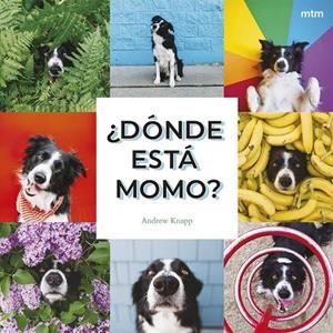 ¿DÓNDE ESTÁ MOMO? | 9788410407909 | KNAPP, ANDREW | Llibreria La Gralla | Llibreria online de Granollers