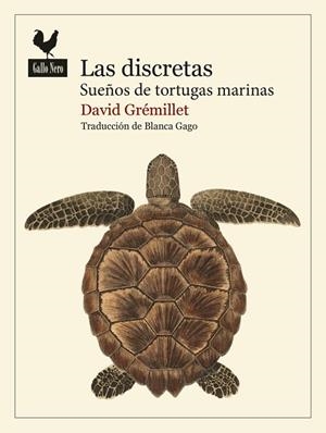 DISCRETAS, LAS | 9788419168986 | GRÉMILLET, DAVID | Llibreria La Gralla | Llibreria online de Granollers