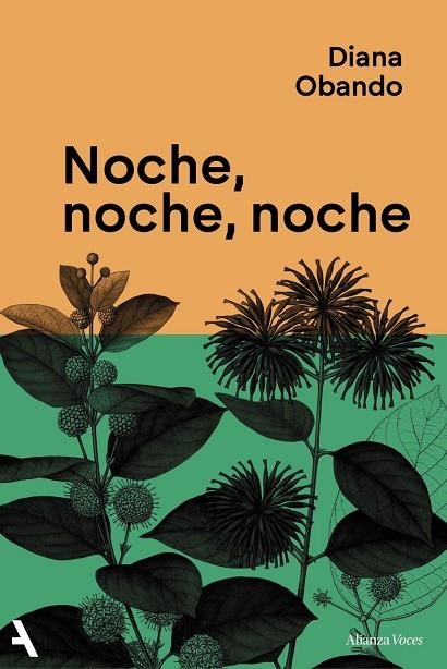 NOCHE, NOCHE, NOCHE | 9791370093235 | OBANDO, DIANA | Llibreria La Gralla | Librería online de Granollers