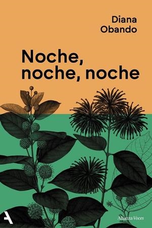 NOCHE, NOCHE, NOCHE | 9791370093235 | OBANDO, DIANA | Llibreria La Gralla | Librería online de Granollers