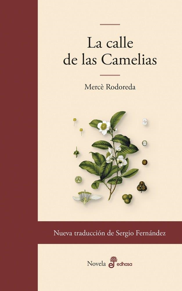 CALLE DE LAS CAMELIAS, LA | 9788435011860 | RODOREDA, MERCÈ | Llibreria La Gralla | Librería online de Granollers