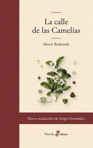 CALLE DE LAS CAMELIAS, LA | 9788435011860 | RODOREDA, MERCÈ | Llibreria La Gralla | Librería online de Granollers
