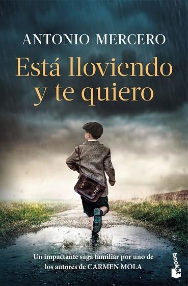 ESTÁ LLOVIENDO Y TE QUIERO | 9788408326724 | MERCERO, ANTONIO | Llibreria La Gralla | Llibreria online de Granollers