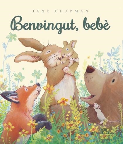 BENVINGUT, BEBÈ | 9788419912640 | CHAPMAN, JANE | Llibreria La Gralla | Librería online de Granollers