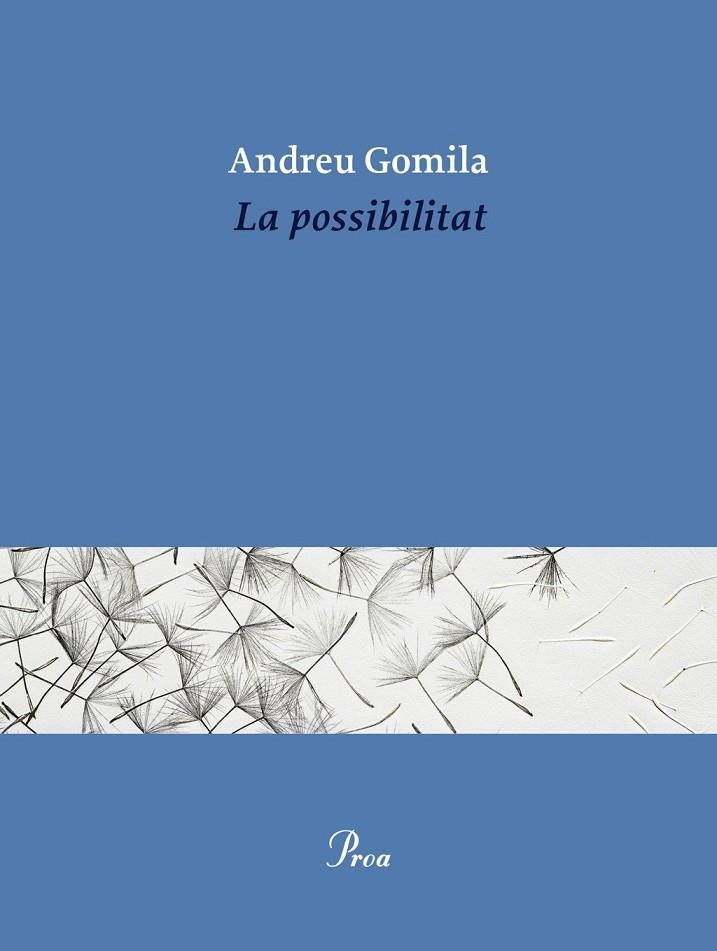 POSSIBILITAT, LA | 9791388369155 | GOMILA LLOBERA, ANDREU | Llibreria La Gralla | Llibreria online de Granollers