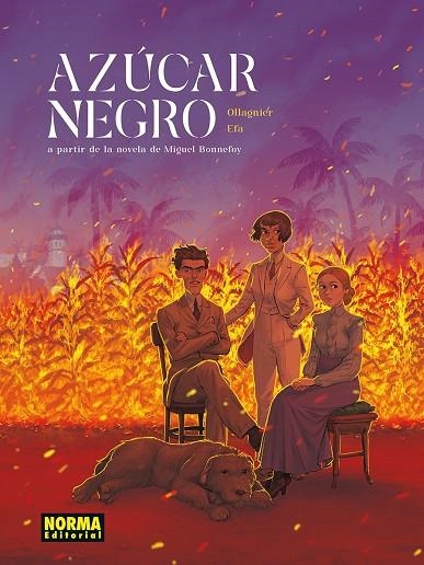 AZUCAR NEGRO | 9788467985290 | OLLAGNIER, VIRGINIE ;  BONNEFOY, MIGUEL ;  EFA, RICARD | Llibreria La Gralla | Llibreria online de Granollers