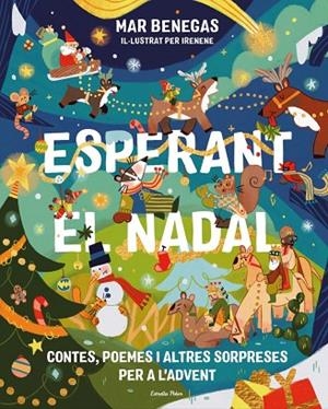 ESPERANT EL NADAL. CONTES, POEMES I ALTRES SORPRESES PER A L'ADVENT | 9791388358012 | BENEGAS, MAR | Llibreria La Gralla | Librería online de Granollers