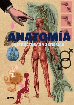 ANATOMÍA | 9791388023286 | VV. AA., VV. AA. | Llibreria La Gralla | Llibreria online de Granollers