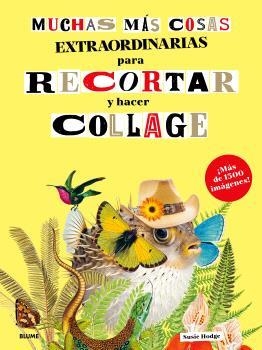 MUCHAS MÁS COSAS EXTRAORDINARIAS PARA RECORTAR Y HACER COLLAGE | 9791388023897 | HODGE, SUSIE | Llibreria La Gralla | Llibreria online de Granollers
