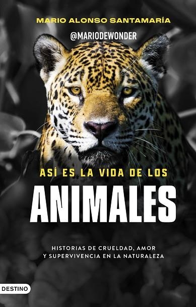 ASÍ ES LA VIDA DE LOS ANIMALES | 9788423370979 | @MARIODEWONDER, ALONSO SANTAMARÍA, MARIA | Llibreria La Gralla | Llibreria online de Granollers