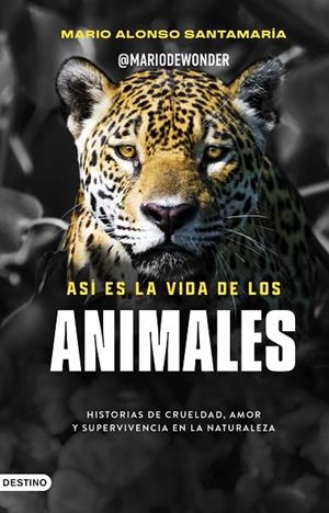 ASÍ ES LA VIDA DE LOS ANIMALES | 9788423370979 | @MARIODEWONDER, ALONSO SANTAMARÍA, MARIA | Llibreria La Gralla | Llibreria online de Granollers