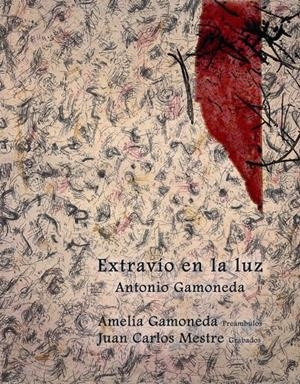 EXTRAVIO EN LA LUZ | 9788486760847 | GAMONEDA, ANTONIO | Llibreria La Gralla | Librería online de Granollers