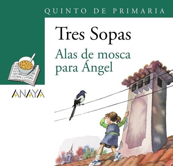 ALAS DE MOSCA PARA ANGEL (PACK:LIBRO+CUADERNDO ACTIVIDADES) | 9788466747899 | Llibreria La Gralla | Llibreria online de Granollers